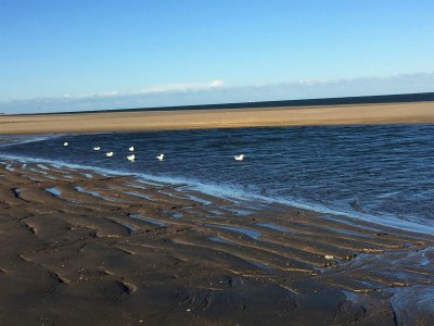 Holiday house North Sea Villa Zeeland - Environment photo 31