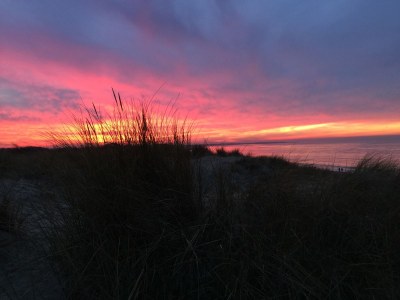 Holiday house North Sea Villa Zeeland - Environment photo 34