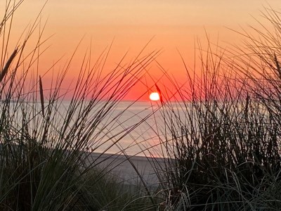 Holiday house North Sea Villa Zeeland - Environment photo 35