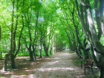 Holiday house North Sea Villa Zeeland - Environment photo 38