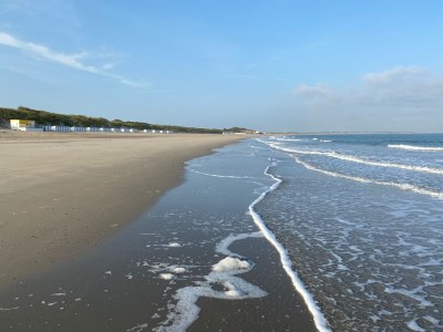 Holiday house North Sea Villa Zeeland - Environment photo 39