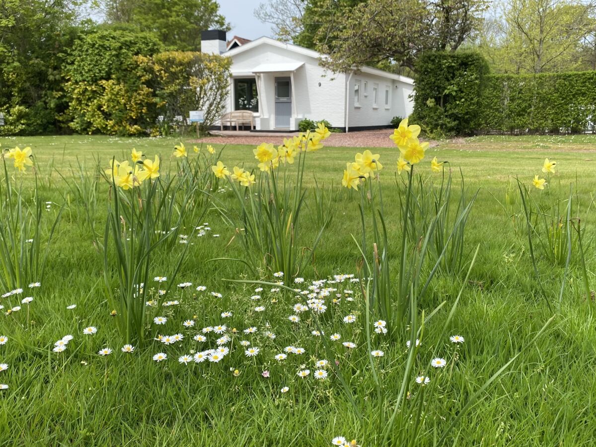 Bungalow Dennenbos BV 5 - Outdoor photo 2