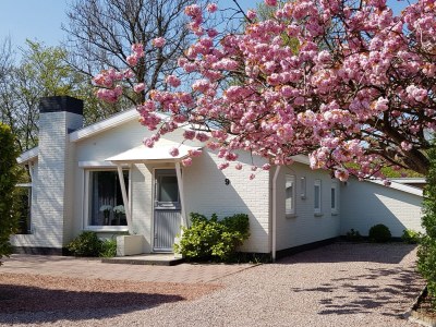Bungalow Dennenbos BV 5 in Oostkapelle - Bungalow