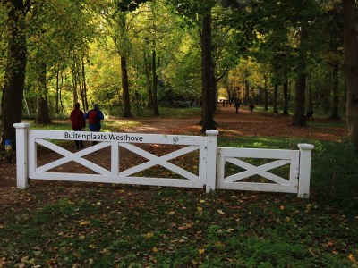 Bungalow Dennenbos BV 5 - Environment photo 32