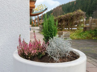 Apartment Apartment in Wald near Zillertal Ski Area - Outdoor photo 34