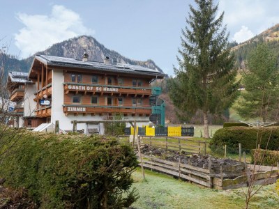 Apartment Apartment in Wald near Zillertal Arena - Outdoor photo 3