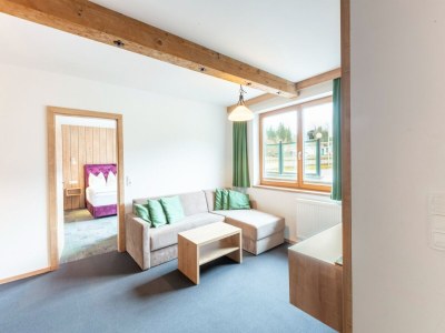 Apartment Apartment in Wald near Zillertal Arena - Features photo 13