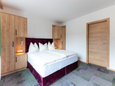 Apartment Apartment in Wald near Zillertal Arena - Features photo 29