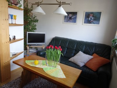 Holiday apartment Panorama - Features photo 17