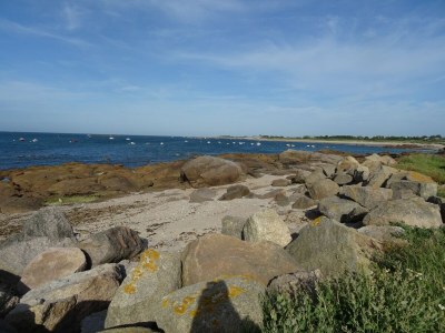 Holiday house Cottage in Cosqueville near Normandy Coast - Environment photo 26