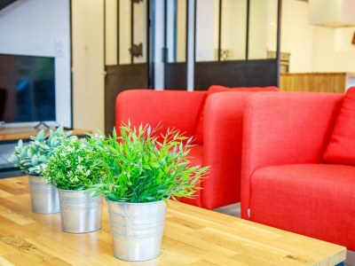 Holiday apartment La Teignouse - Features photo 8