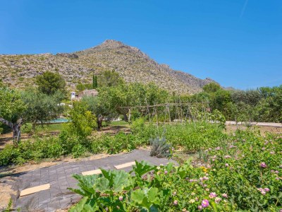 Villa Ca'n Coll - Outdoor photo 35