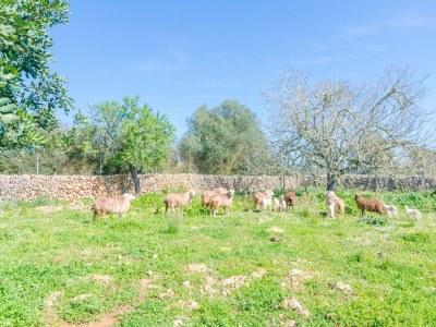 Villa Can Potdir - Outdoor photo 25