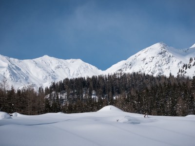 Apartment EdelweiÃŸ - Glacier Apartments - Environment photo 16