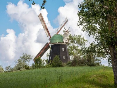 Apartment Wohnung in Teßmannsdorf mit Garten - Environment photo 32