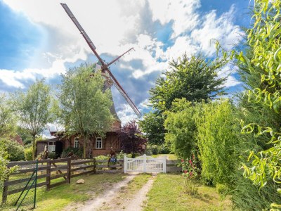 Apartment Wohnung in Teßmannsdorf mit Garten - Environment photo 33
