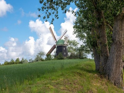Apartment Wohnung in Teßmannsdorf mit Garten - Environment photo 37
