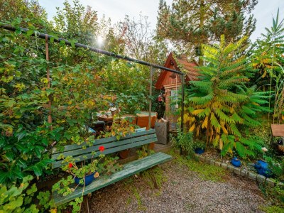 Apartment Central Apartment, Bad Doberan - Outdoor photo 8