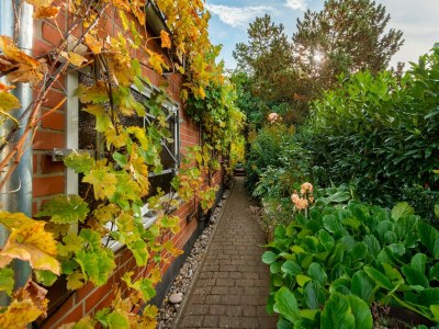 Apartment Central Apartment, Bad Doberan - Features photo 11