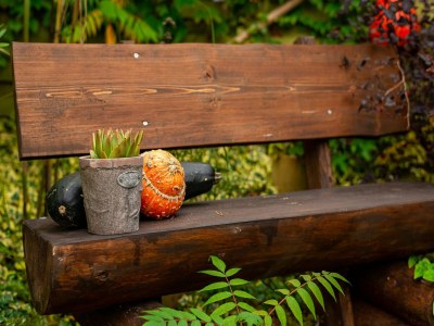 Apartment Central Apartment, Bad Doberan - Outdoor photo 40