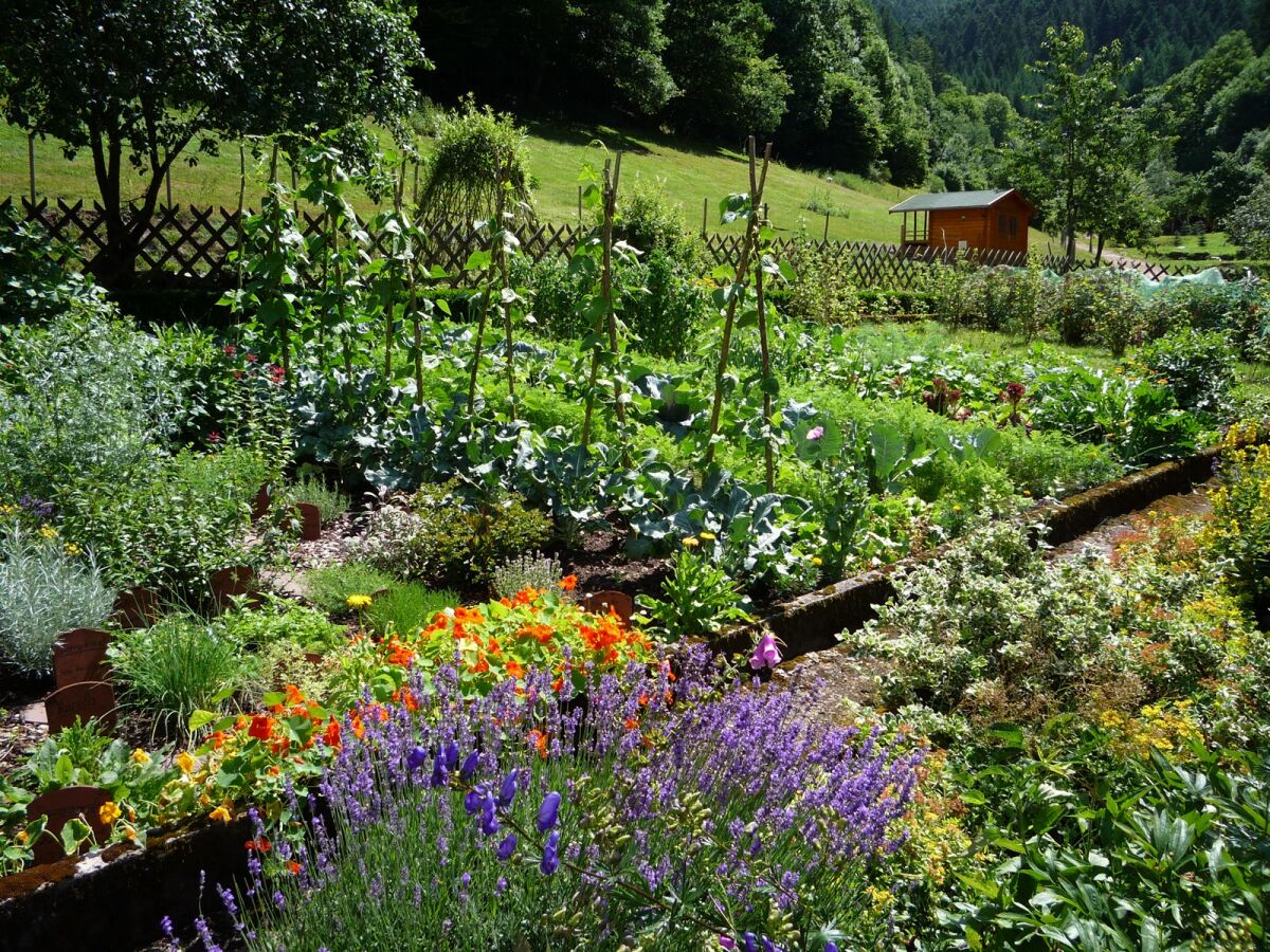 Holiday apartment Eulersbacher Hof - Outdoor photo 4