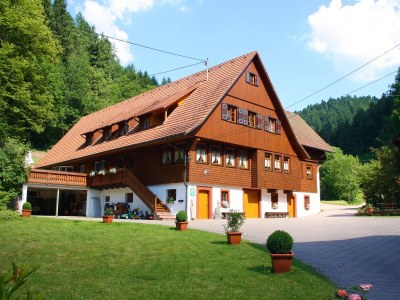 Holiday apartment Eulersbacher Hof - Outdoor photo 3