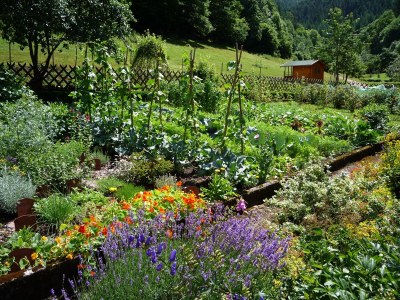 Holiday apartment Eulersbacher Hof - Outdoor photo 4