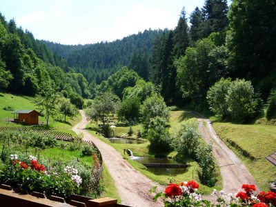 Holiday apartment Eulersbacher Hof - Outdoor photo 5
