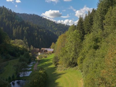 Holiday apartment Eulersbacher Hof - Outdoor photo 6