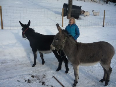 Holiday apartment Eulersbacher Hof - Environment photo 18