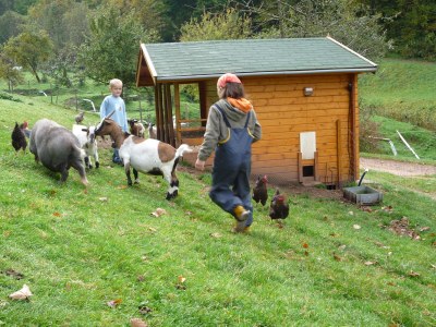 Holiday apartment Eulersbacher Hof - Environment photo 19