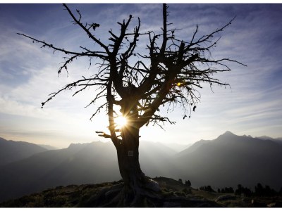 Apartment "Ahorn" - Environment photo 19