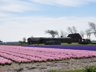 Holiday house Duinland 38 - Environment photo 16