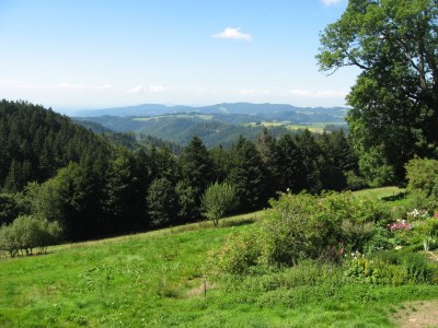 Holiday apartment Oßwald 2 - Environment photo 14