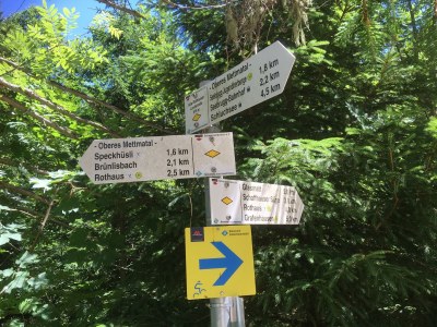 Holiday apartment Oßwald 2 - Environment photo 15