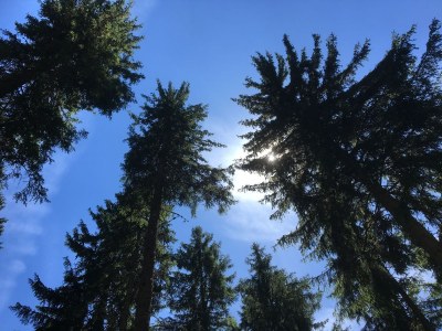 Holiday apartment Oßwald 2 - Environment photo 17