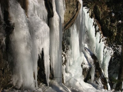 Holiday apartment Oßwald 2 - Environment photo 18