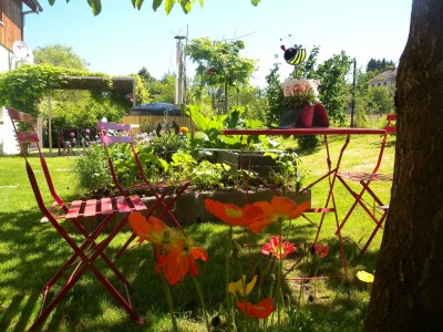 Holiday house Cottage in Saint-Quirin by Lake & Town - Outdoor photo 6