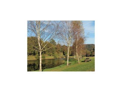 Holiday house Cottage in Saint-Quirin by Lake & Town - Environment photo 39