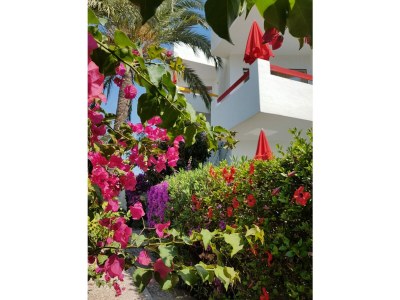 Holiday apartment Studio Apartment Type A - Outdoor photo 7