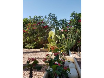 Holiday apartment Apartment type C - Outdoor photo 13