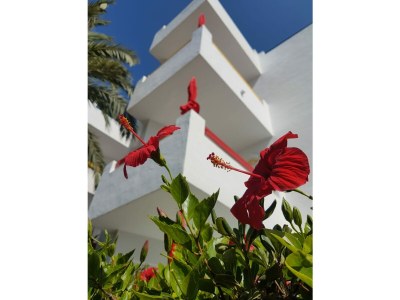 Holiday apartment Apartment type C - Outdoor photo 14