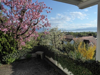 Holiday apartment Hanssen in Lindau/Lake Constance - Outdoor photo 12