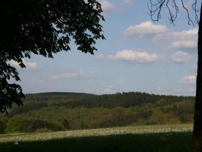 Apartment Großzügige Ferienwohnung in Kierspe, Sauerland - Environment photo 28