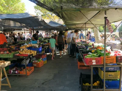 Villa Casa FB - Environment photo 30