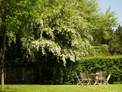 Villa Veersegat 4 - Outdoor photo 6