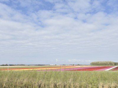 Apartment Apartment near Groote Keeten Beach - Outdoor photo 5