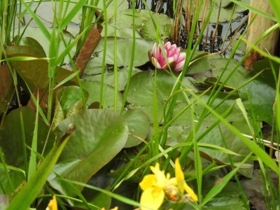 Holiday house Holiday Home near Groote Keeten Beach - Environment photo 16