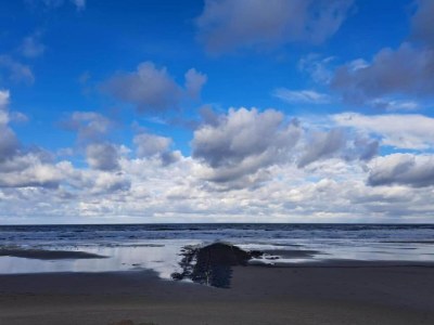 Holiday house Holiday Home near Groote Keeten Beach - Environment photo 22