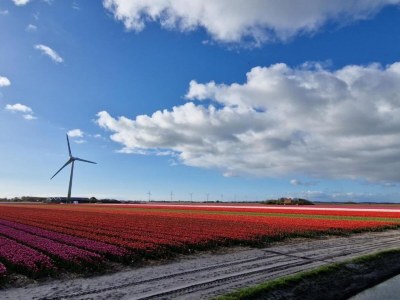 Holiday house Holiday Home near Groote Keeten Beach - Environment photo 27